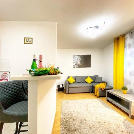 Centre Ville Au Calme , Parking Prive Interieur Car Et Bike サヴェルヌ エクステリア 写真